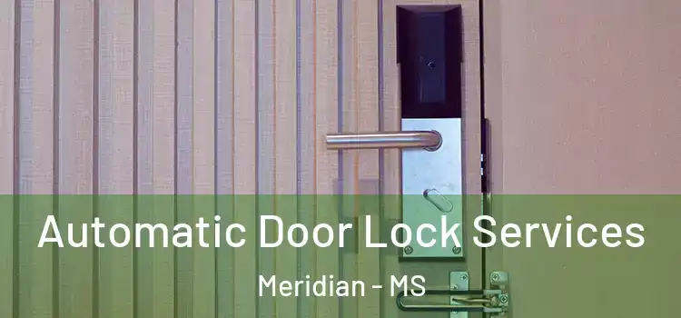 Automatic Door Lock Services Meridian - MS