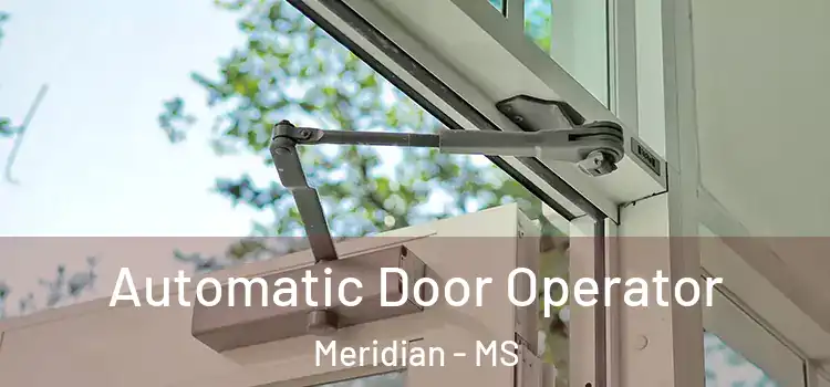 Automatic Door Operator Meridian - MS