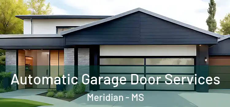  Automatic Garage Door Services Meridian - MS