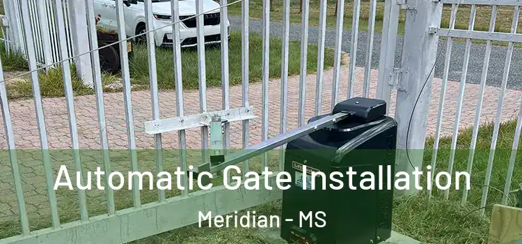 Automatic Gate Installation Meridian - MS