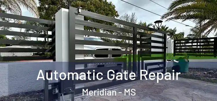 Automatic Gate Repair Meridian - MS