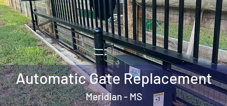 Automatic Gate Replacement Meridian - MS