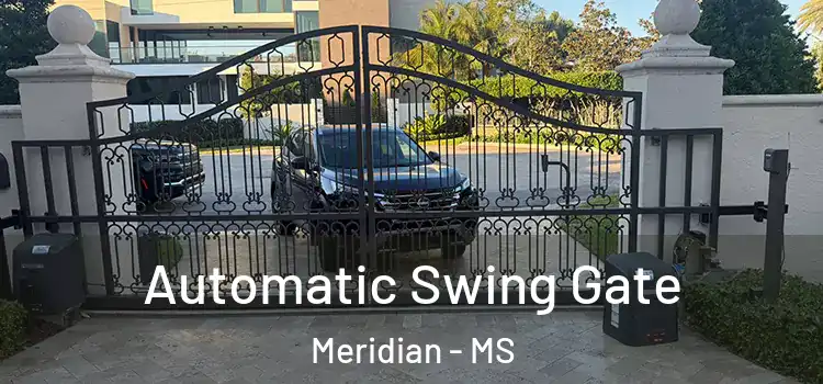 Automatic Swing Gate Meridian - MS