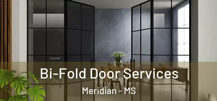 Bi-Fold Door Services Meridian - MS