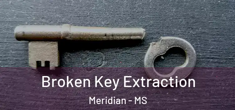 Broken Key Extraction Meridian - MS