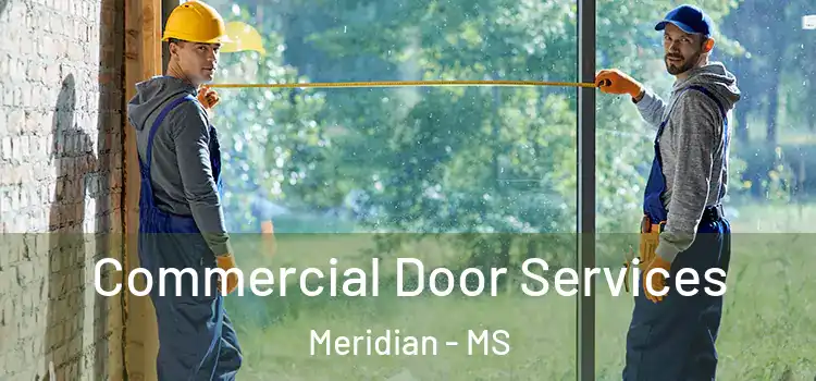 Commercial Door Services Meridian - MS