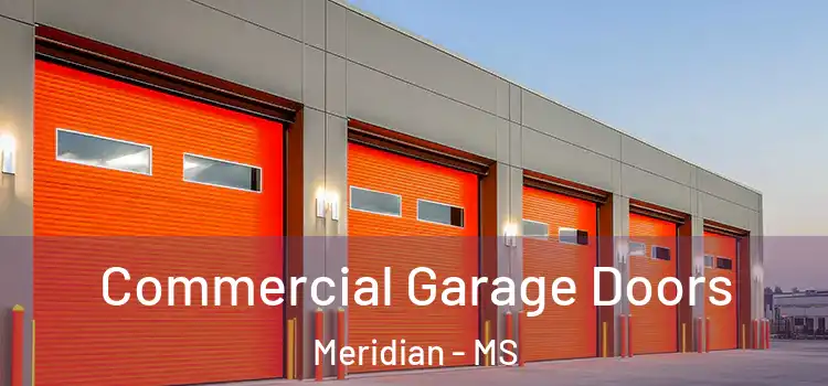  Commercial Garage Doors Meridian - MS