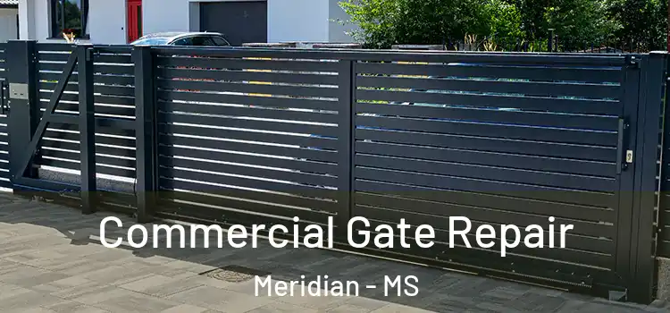 Commercial Gate Repair Meridian - MS