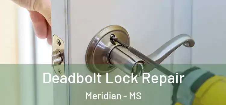 Deadbolt Lock Repair Meridian - MS