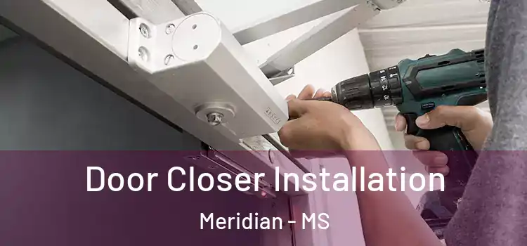Door Closer Installation Meridian - MS