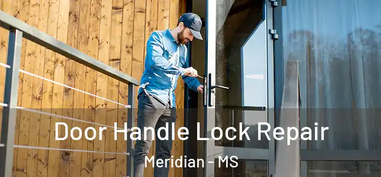 Door Handle Lock Repair Meridian - MS