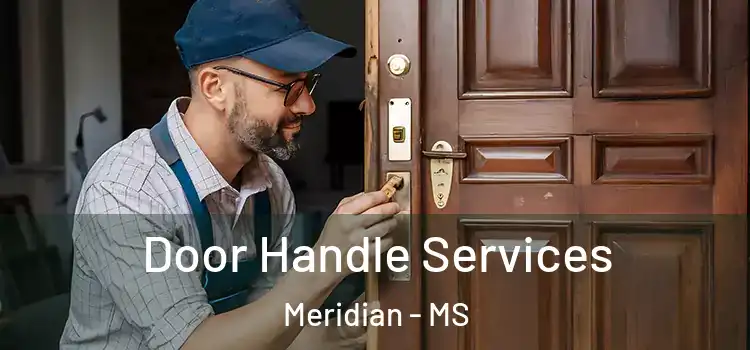 Door Handle Services Meridian - MS