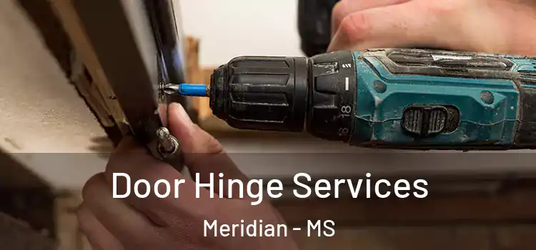 Door Hinge Services Meridian - MS