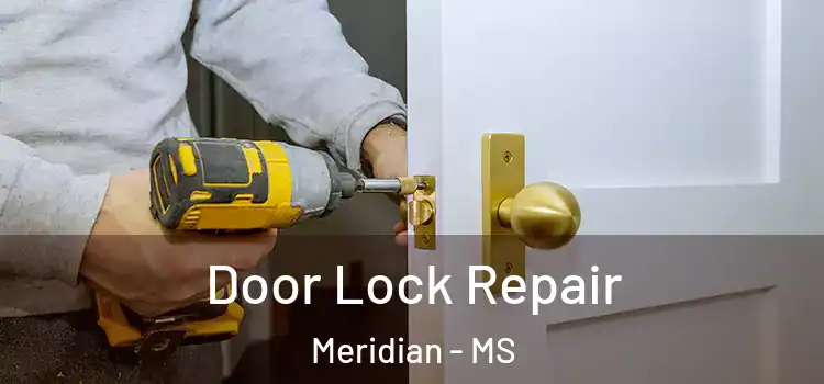 Door Lock Repair Meridian - MS