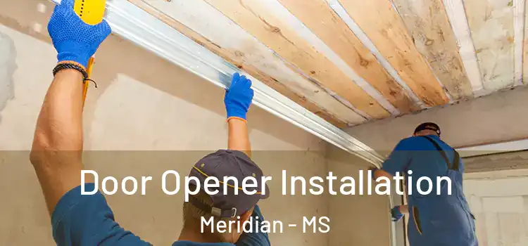 Door Opener Installation Meridian - MS