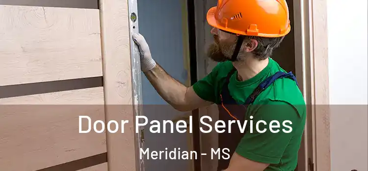Door Panel Services Meridian - MS