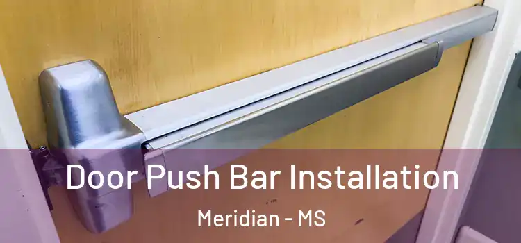 Door Push Bar Installation Meridian - MS