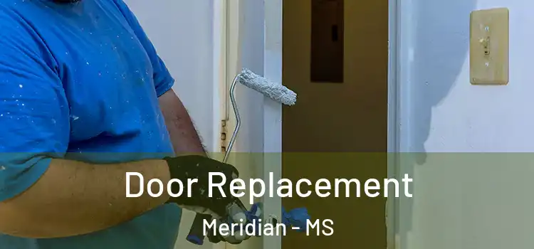 Door Replacement Meridian - MS