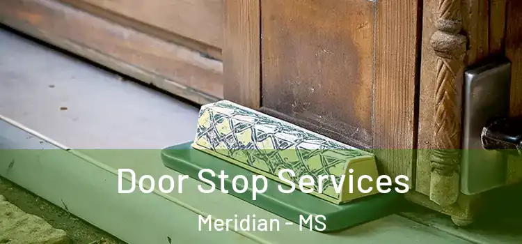 Door Stop Services Meridian - MS