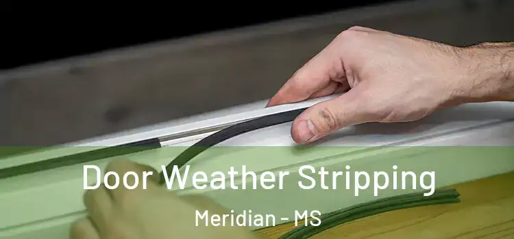 Door Weather Stripping Meridian - MS