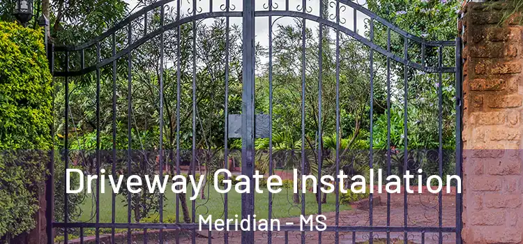 Driveway Gate Installation Meridian - MS