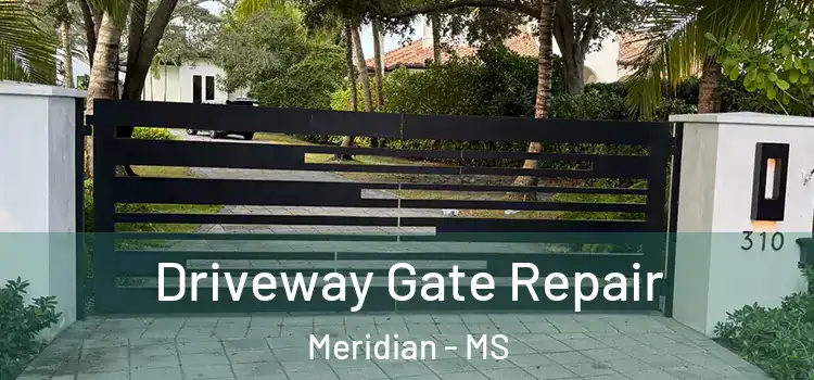 Driveway Gate Repair Meridian - MS