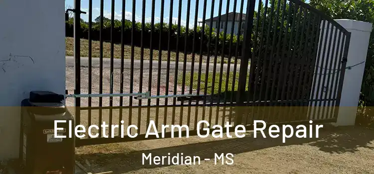 Electric Arm Gate Repair Meridian - MS