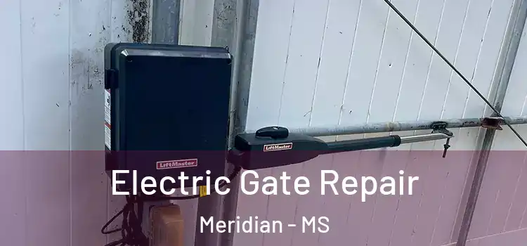 Electric Gate Repair Meridian - MS