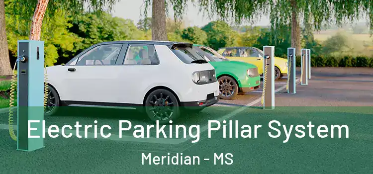 Electric Parking Pillar System Meridian - MS