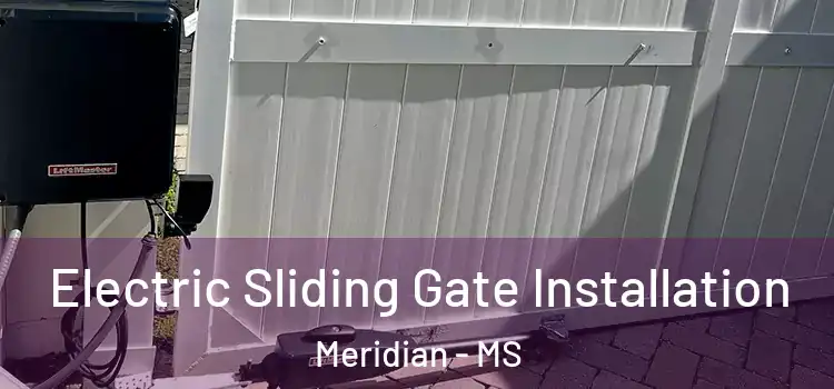 Electric Sliding Gate Installation Meridian - MS