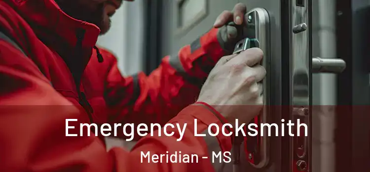 Emergency Locksmith Meridian - MS