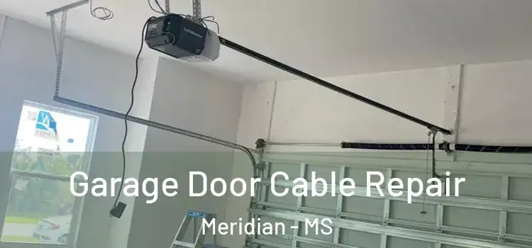  Garage Door Cable Repair Meridian - MS