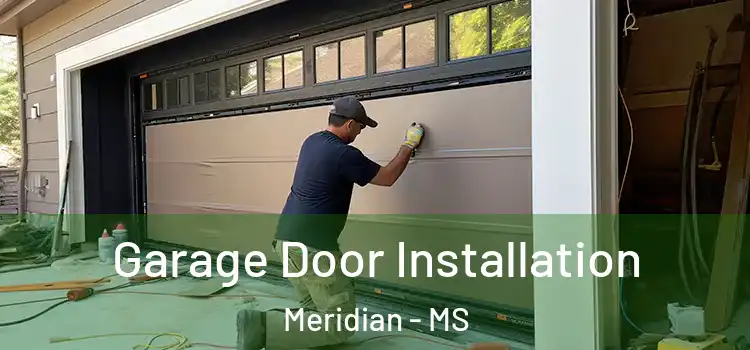  Garage Door Installation Meridian - MS