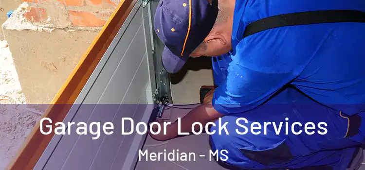 Garage Door Lock Services Meridian - MS