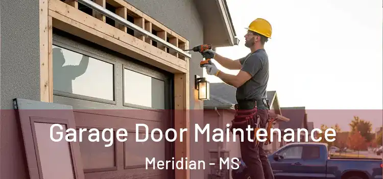 Garage Door Maintenance Meridian - MS
