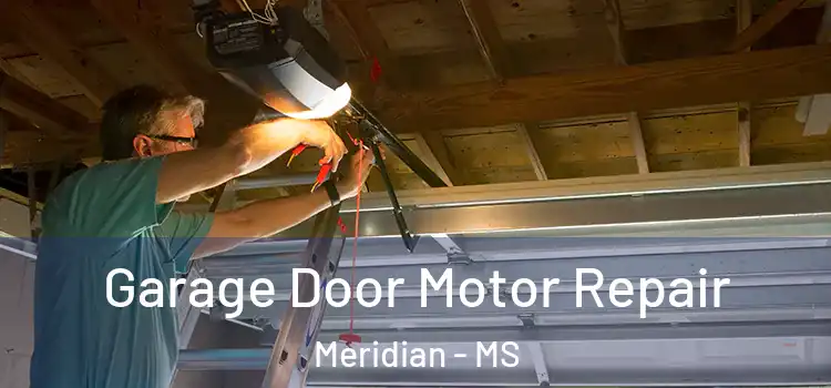  Garage Door Motor Repair Meridian - MS
