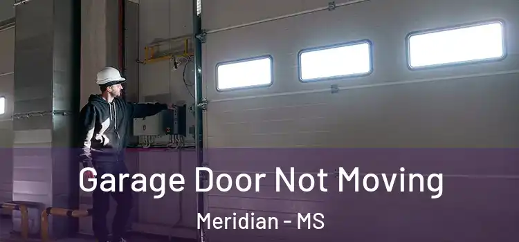  Garage Door Not Moving Meridian - MS