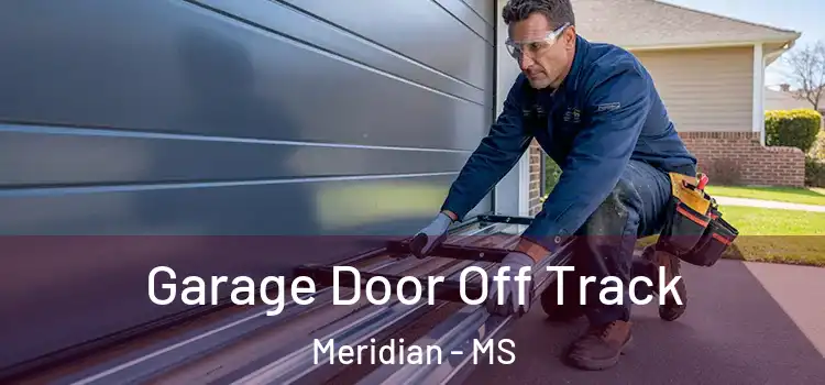 Garage Door Off Track Meridian - MS