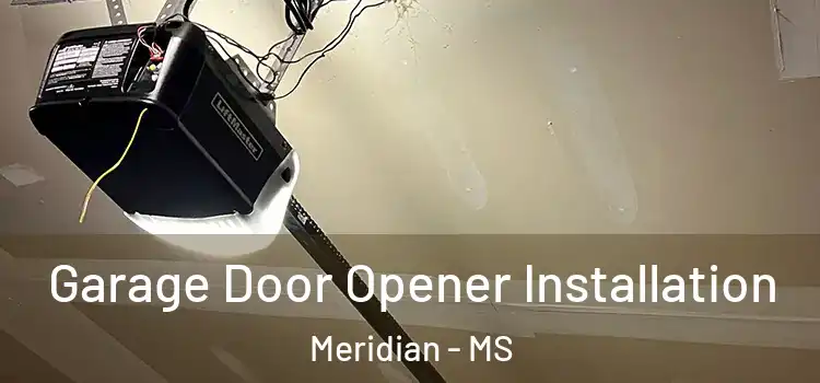  Garage Door Opener Installation Meridian - MS
