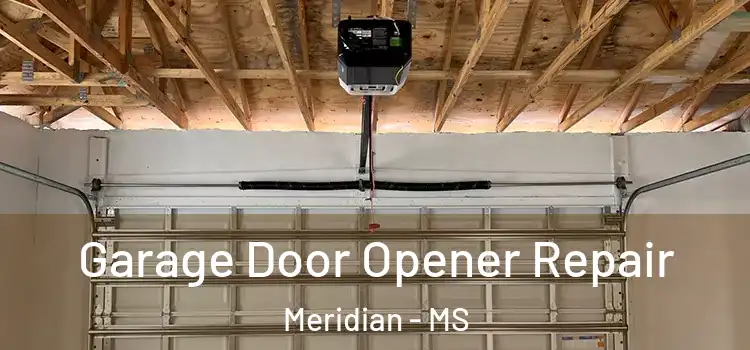  Garage Door Opener Repair Meridian - MS