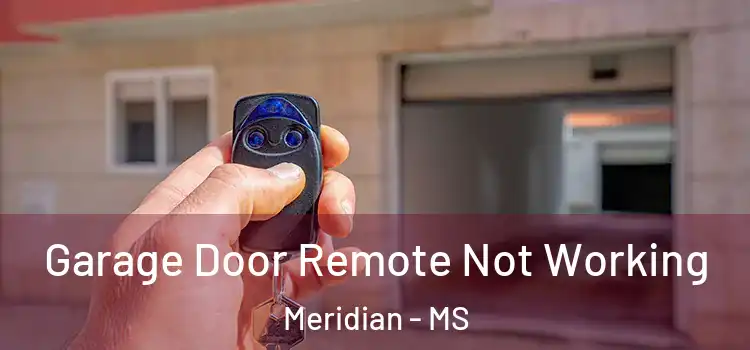  Garage Door Remote Not Working Meridian - MS