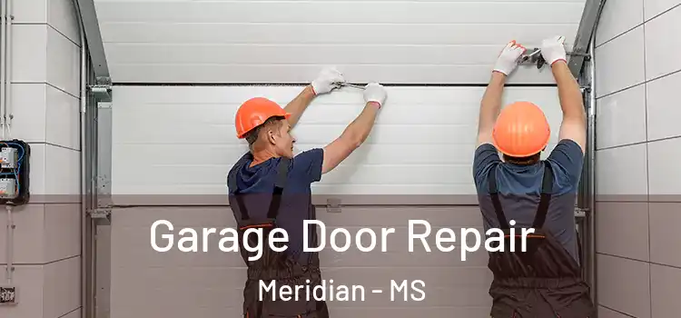  Garage Door Repair Meridian - MS