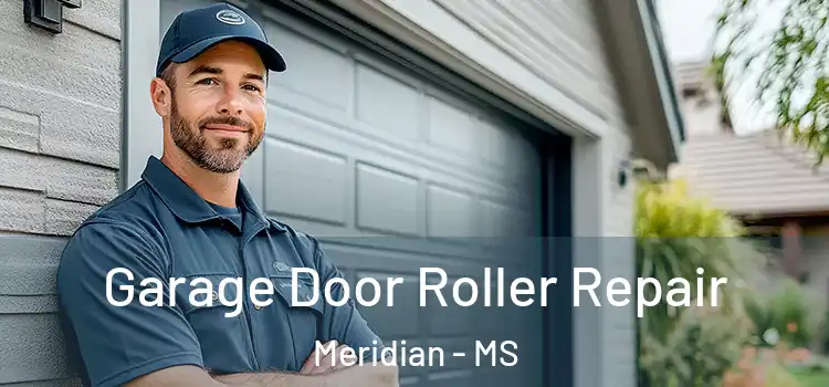  Garage Door Roller Repair Meridian - MS
