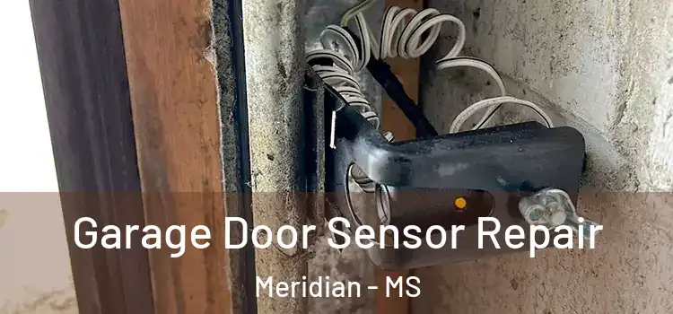 Garage Door Sensor Repair Meridian - MS