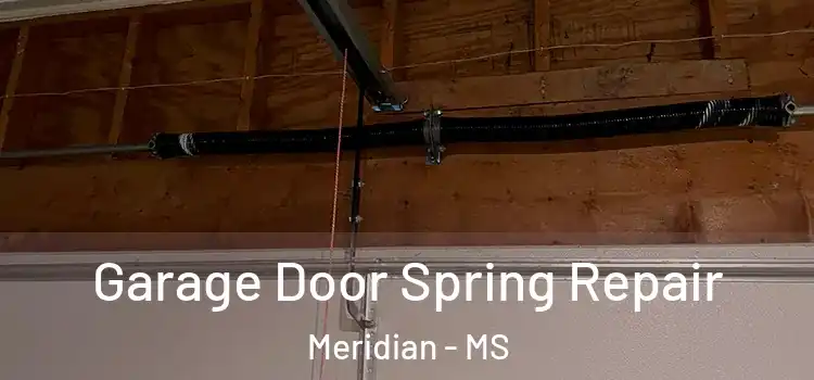  Garage Door Spring Repair Meridian - MS