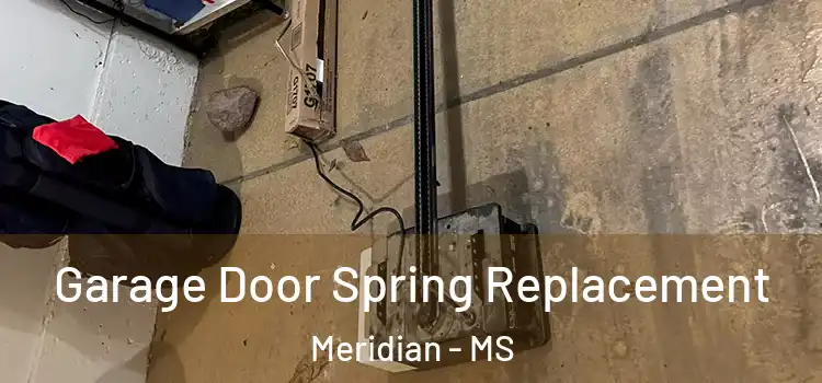  Garage Door Spring Replacement Meridian - MS