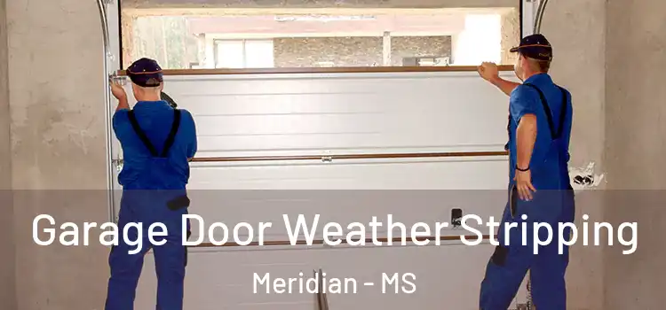  Garage Door Weather Stripping Meridian - MS