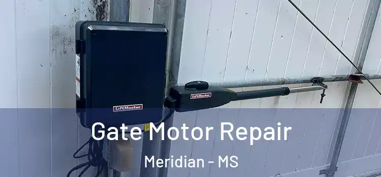 Gate Motor Repair Meridian - MS