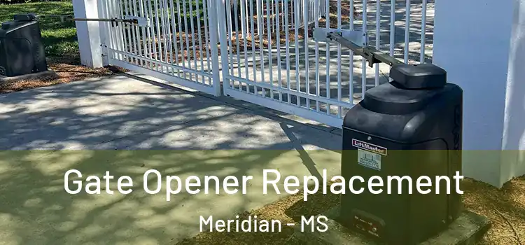 Gate Opener Replacement Meridian - MS