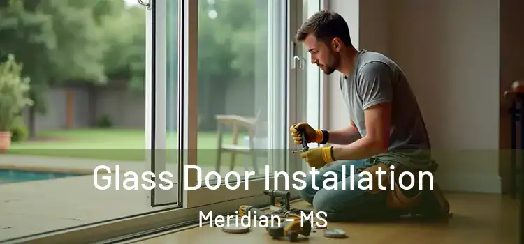 Glass Door Installation Meridian - MS